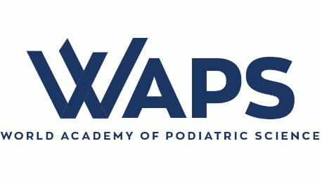 WAPS ACADEMY Huesca