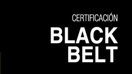 Curso Certificación Six Sigma Black Belt Lean Logistics